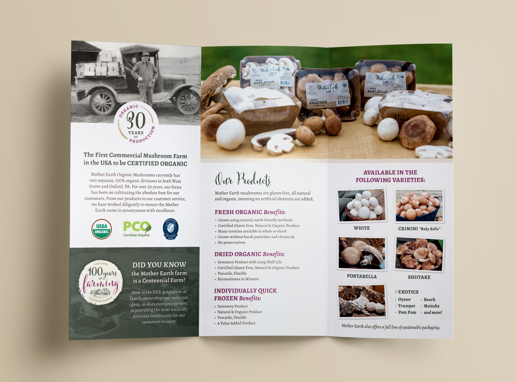 Mother Earth Organic Mushrooms brochure