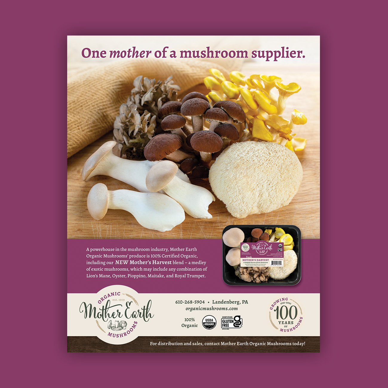 Mother Earth Organic Mushrooms ad design
